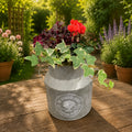 Seasonal Milk Churn with Mixed Plants – Autumn Colour Garden Planter Plants By Post