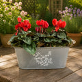 Floral Design Trough with Cyclamen – Wooden Handles & Moss Top Plants By Post