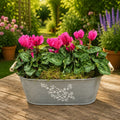 Floral Design Trough with Cyclamen – Wooden Handles & Moss Top Plants By Post