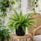 Matt Black Ceramic Pot