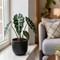 Matt Black Ceramic Pot