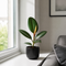 Matt Black Ceramic Pot