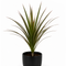 Matt Black Ceramic Pot