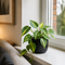 Matt Black Ceramic Pot