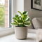 Matt Cream Ceramic Pot