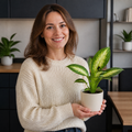 Dieffenbachia Compacta Dumb Cane 12cm Pot Plants By Post