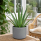 Matt Grey Ceramic Pot