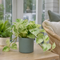 Matt Grey Ceramic Pot