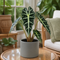 Matt Grey Ceramic Pot
