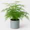 Matt Grey Ceramic Pot