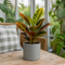 Matt Grey Ceramic Pot