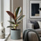Matt Grey Ceramic Pot