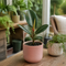 Matt Pink Ceramic Pot