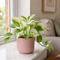 Matt Pink Ceramic Pot
