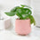 Ceramic Pink Embossed Hearts