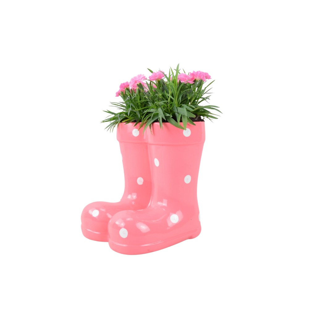 Side view of glossy pink wellington boot garden planter with white dots and green foliage