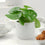 Ceramic York Grey