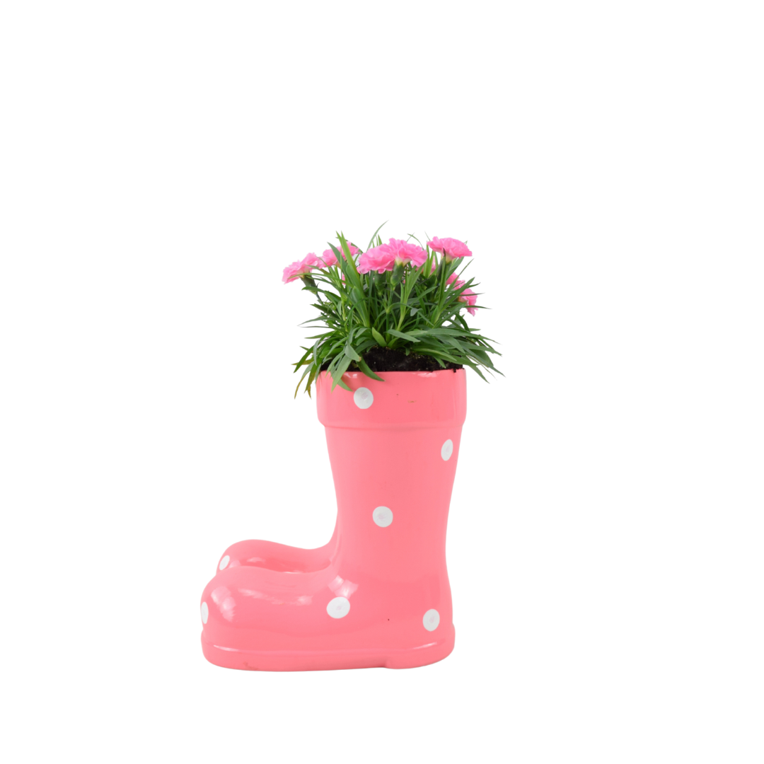 Decorative garden ornament shaped like pink rain boots filled with seasonal flowering plants
