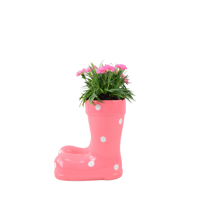 Decorative garden ornament shaped like pink rain boots filled with seasonal flowering plants