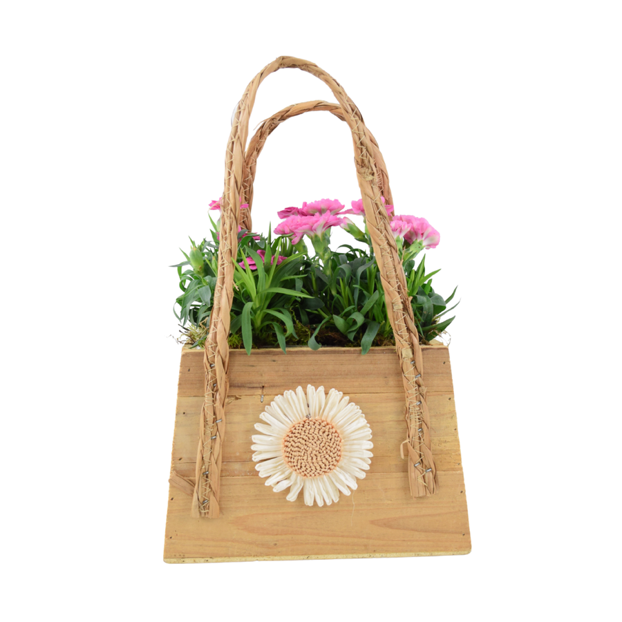 Dianthus Wooden Handbag Planter Plants By Post