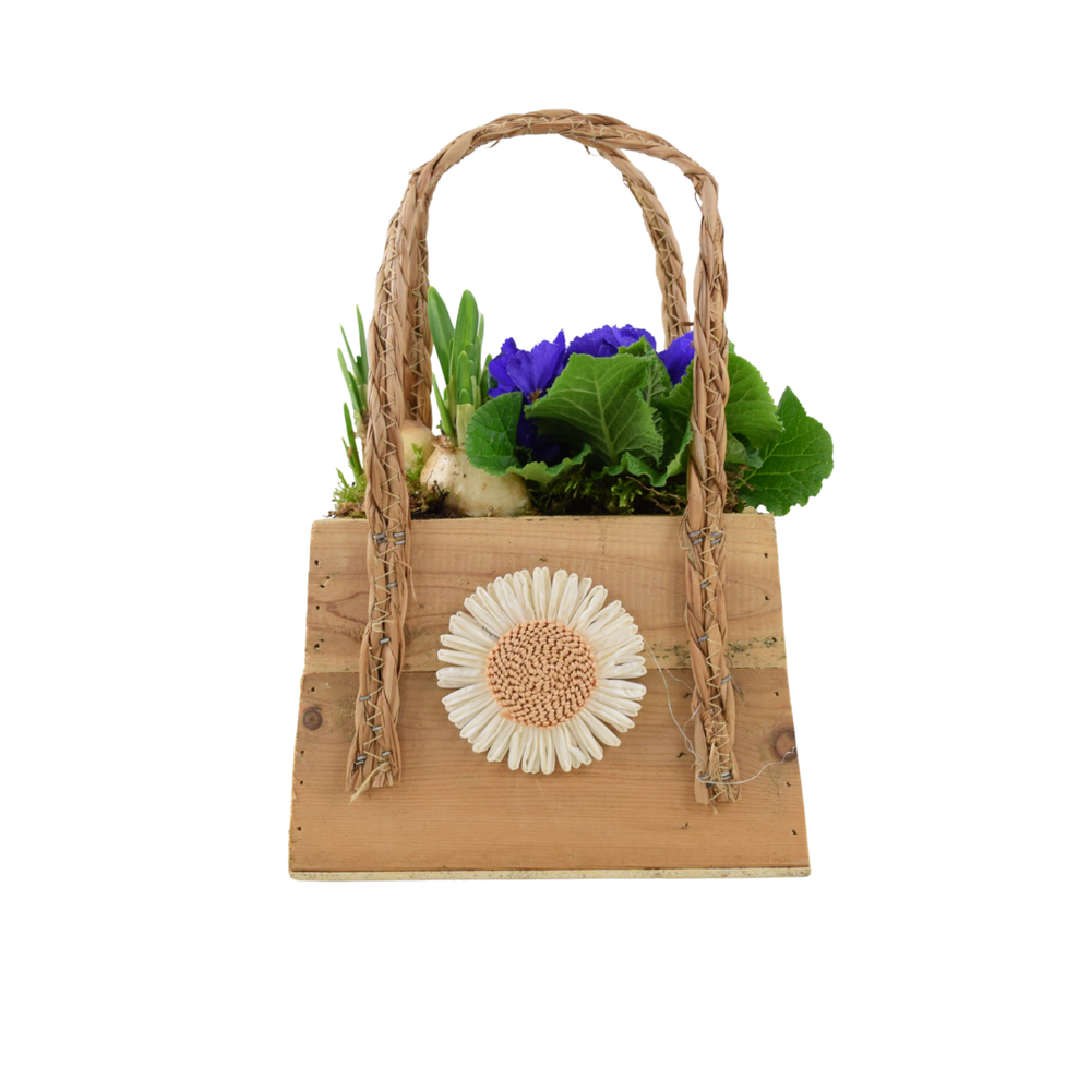 Spring Wooden Handbag Planter Plants By Post