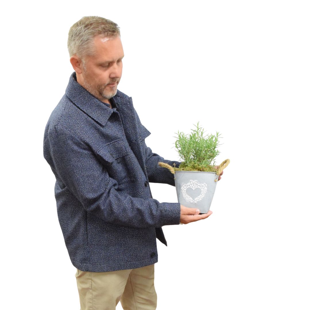 Rosemary in Heart Logo Tin with Moss Rim – Aromatic Herb Plant Gift Plants By Post