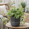 Grey Ceramic Pot