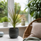 Grey Ceramic Pot