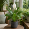 Grey Ceramic Pot