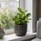 Grey Ceramic Pot