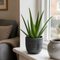 Grey Ceramic Pot