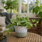 Grey Stoneware Pot