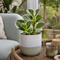 Grey Stoneware Pot