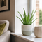 Grey Stoneware Pot