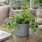 Matt Grey Ceramic Pot