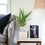 Ceramic White Patterned
