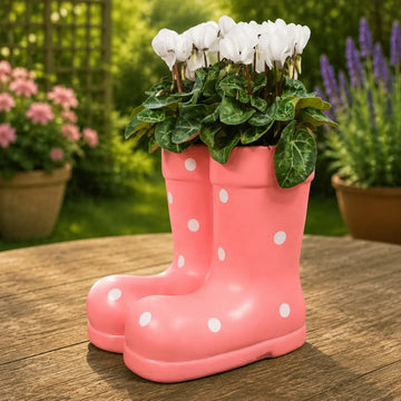 Pink Ceramic Polka Dot Wellies with Seasonal Cyclamen – Moss Finish Plants By Post