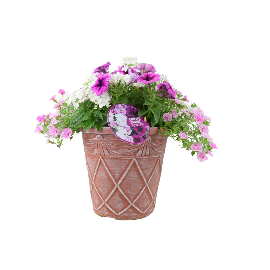 Confetti Garden Planter Plum Cake with purple petunias, white verbena and pink calibrachoa flowers in decorative patio planter
