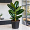 Nursery Pot