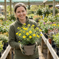 Potentilla Goldfinger - 2L Pot The Rose Press Garden
