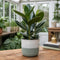 Green Stoneware Pot