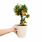 Metal Vertical Line Cream Planter