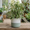 Green Stoneware Pot