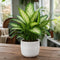 White Stoneware Pot
