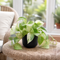 Matt Black Ceramic Pot
