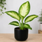 Matt Black Ceramic Pot