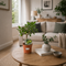 Nursery Pot