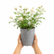 Zinc Vertical Line Planter