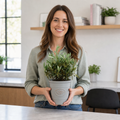 3L Bush Olive Indoor & Outdoor Evergreen