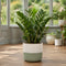 Green Stoneware Pot